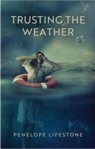 Book cover of book Trusting The Weather