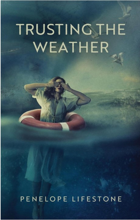 Book cover of book Trusting The Weather